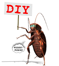 Choose between Professional Versus DIY Pest Control.