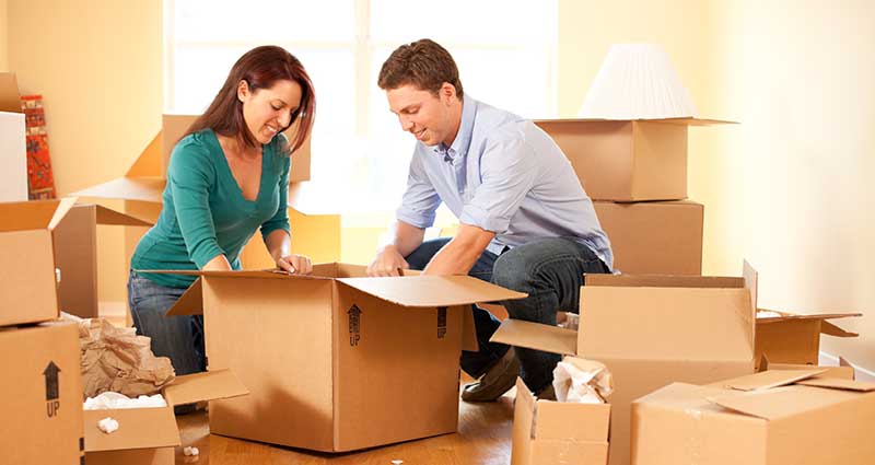 Write about the removals and relocation services