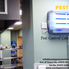 Local antimicrobial treatment – easy and safe insect management