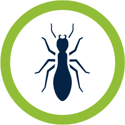 Key things to consider when choosing the best pest control services
